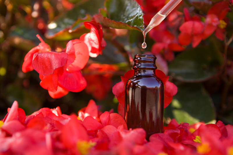 הדרך לאיזון רגשי עם פרחי באך עם נועה לוי